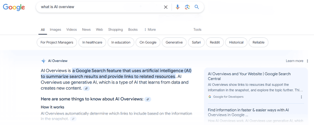 AI Overview example AI Overview example