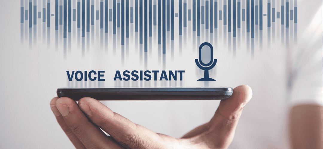 Voice assistant Voice assistant